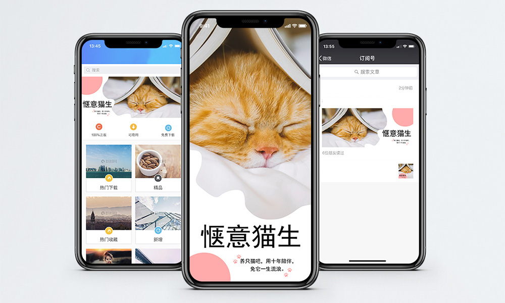 h5頁面愜意貓生